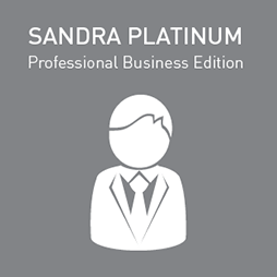 Professional Business
